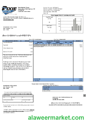 USA Mississippi Dixie Electric business utility bill template in Word and PDF formats